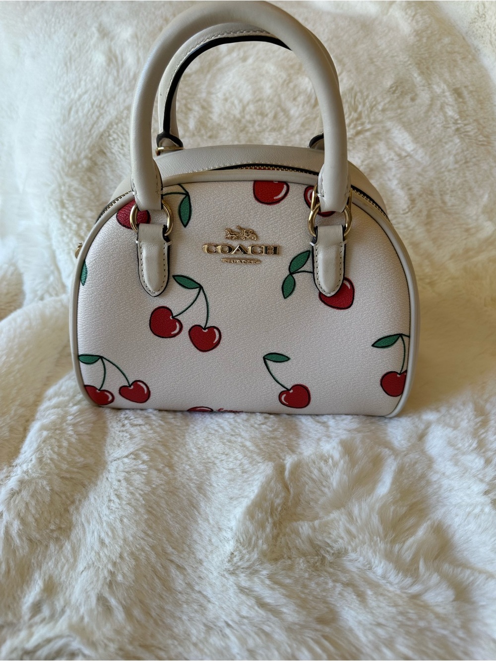 🍒AUTHENTIC COACH CHERRY DOME BAG🍒